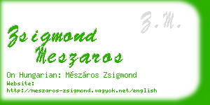 zsigmond meszaros business card