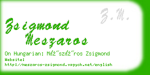 zsigmond meszaros business card